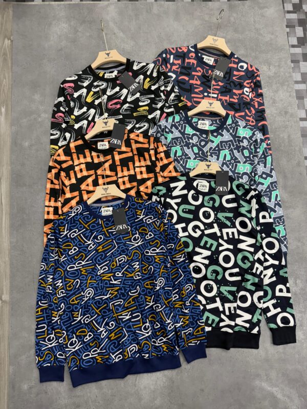 ZARA PREMEIUM PRINTED SWEAT SHIRT